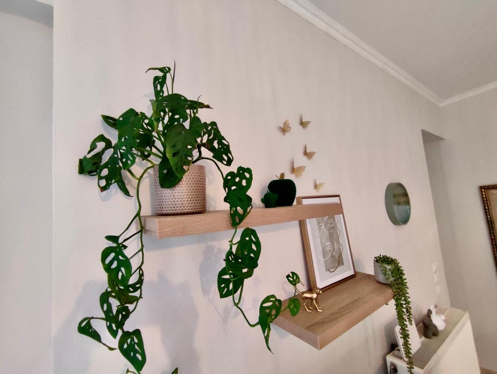 Tzitzifianaki Cozy Apartment Hriszí Aktí Haniá Kültér fotó